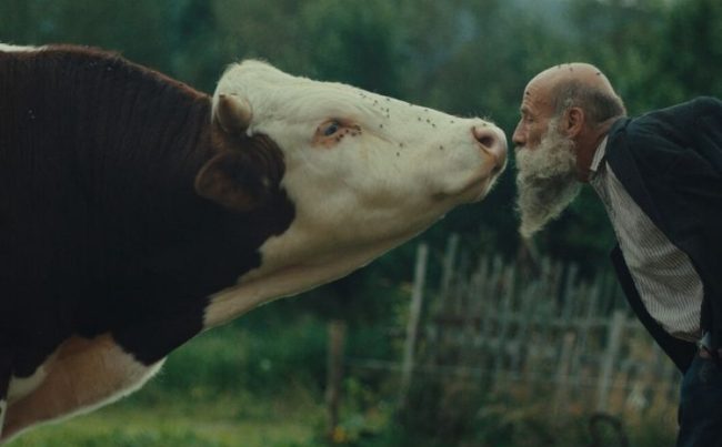 Ankara Film Festivali’nde Sıra Dışı Belgeseller 